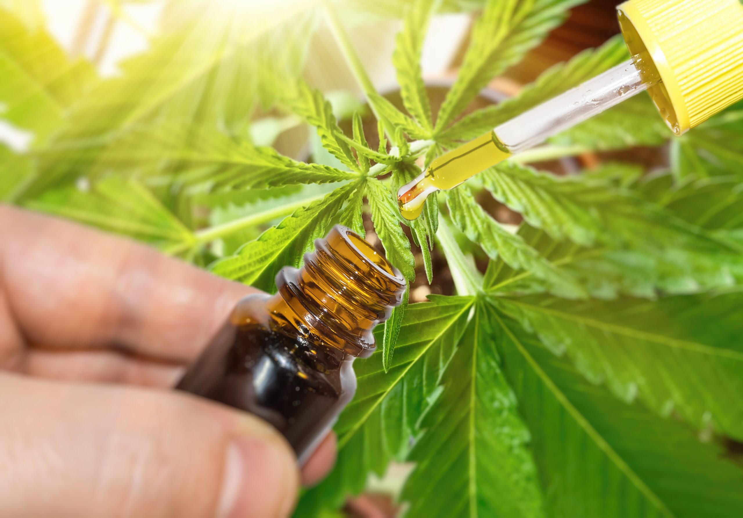 7 BENEFITS AND USES OF CBD OIL
